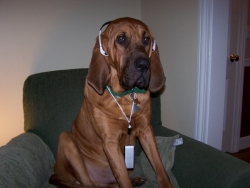 Webb with his MP3s